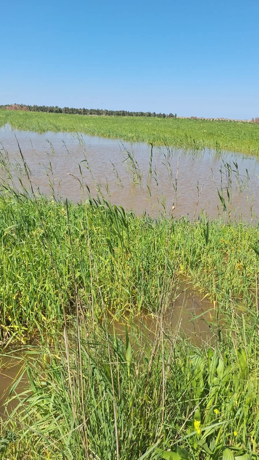 F B I M G 1775671599123