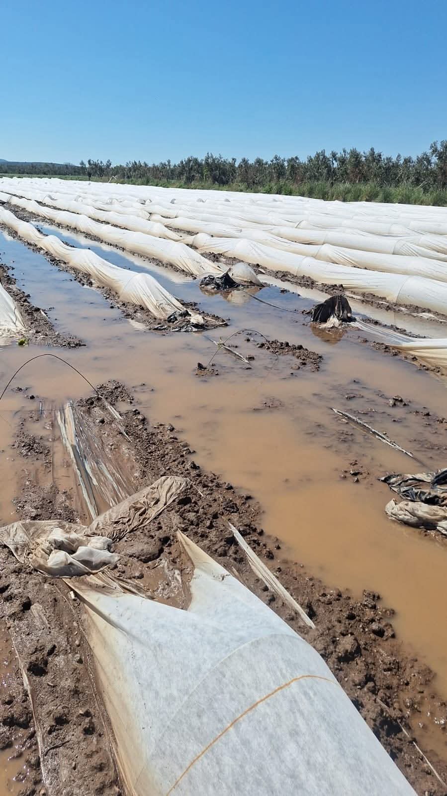 F B I M G 1775671604955