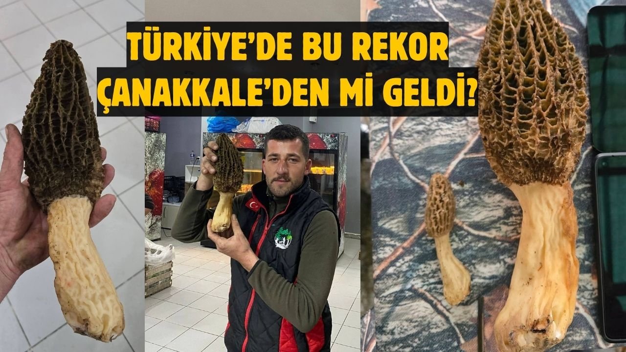 TÜRKİYE’DE BU REKOR ÇANAKKALE’DEN Mİ GELDİ?