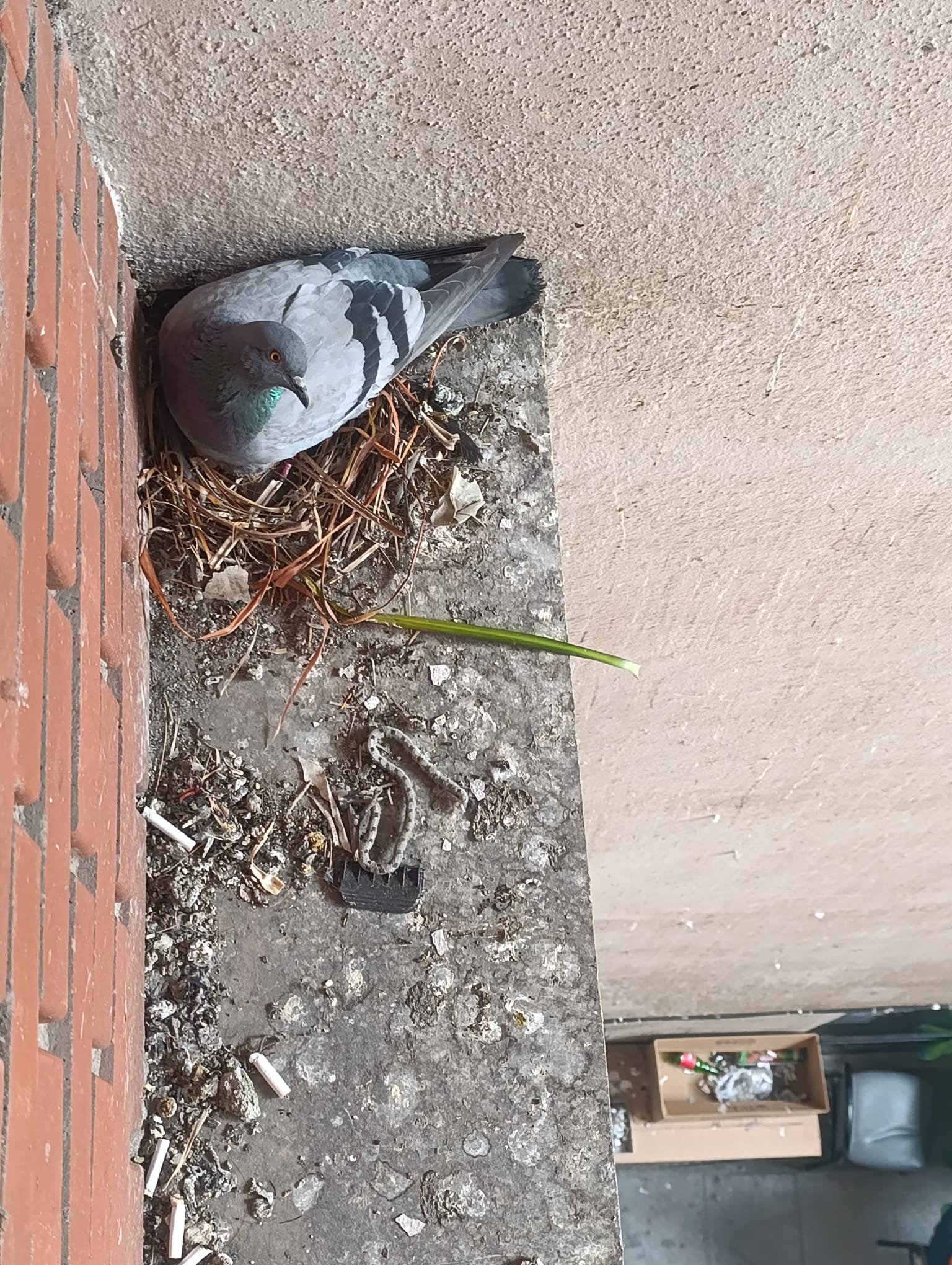 I M G 20260331 W A0077