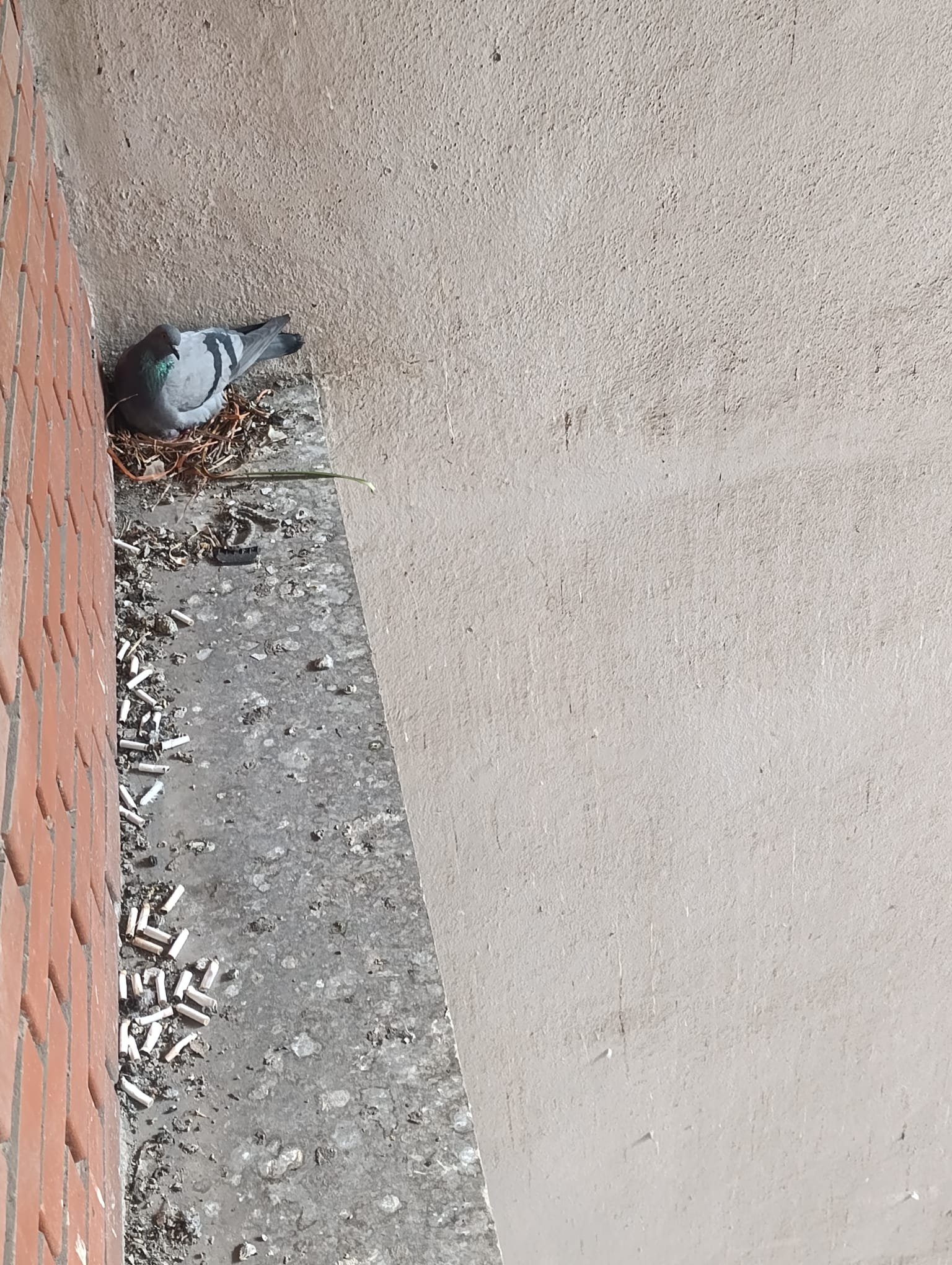 I M G 20260331 W A0078