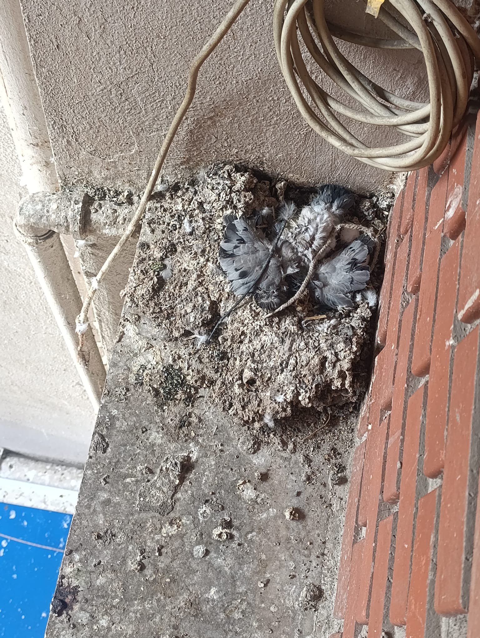 I M G 20260331 W A0079