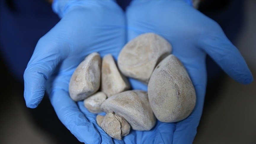 I M G 20260401 W A0036