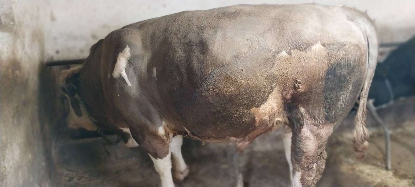 I M G 20260401 W A0153