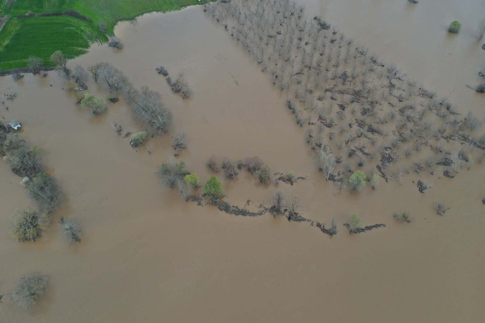 I M G 20260402 W A0078