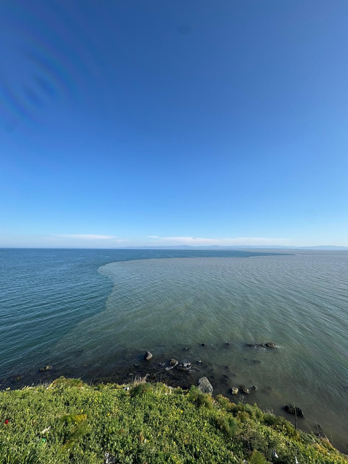 I M G 20260406 W A0026