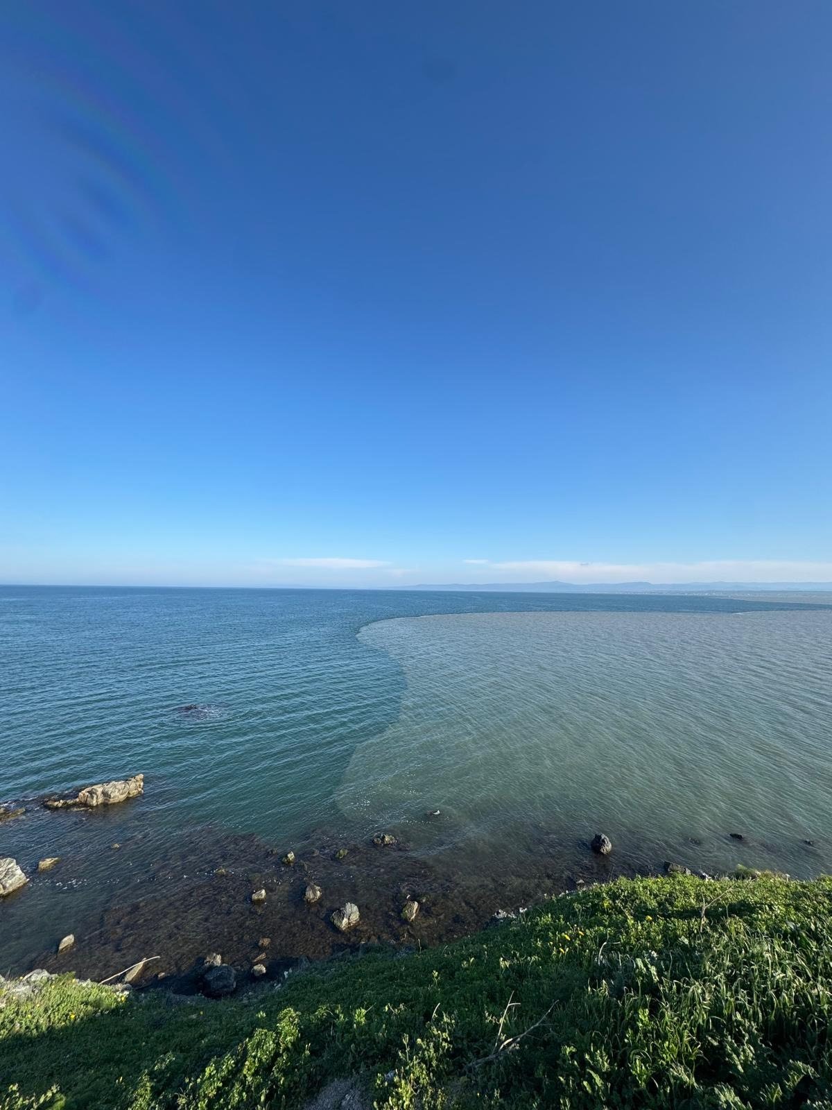 I M G 20260406 W A0028