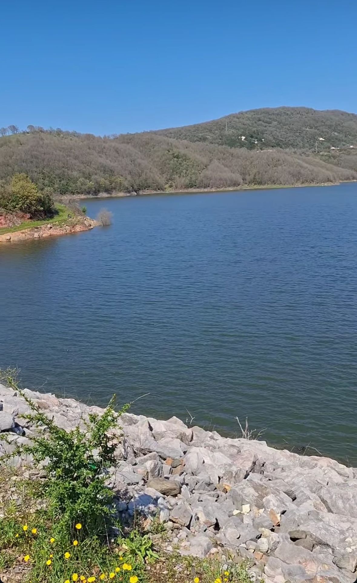 I M G 20260406 W A0031(1)