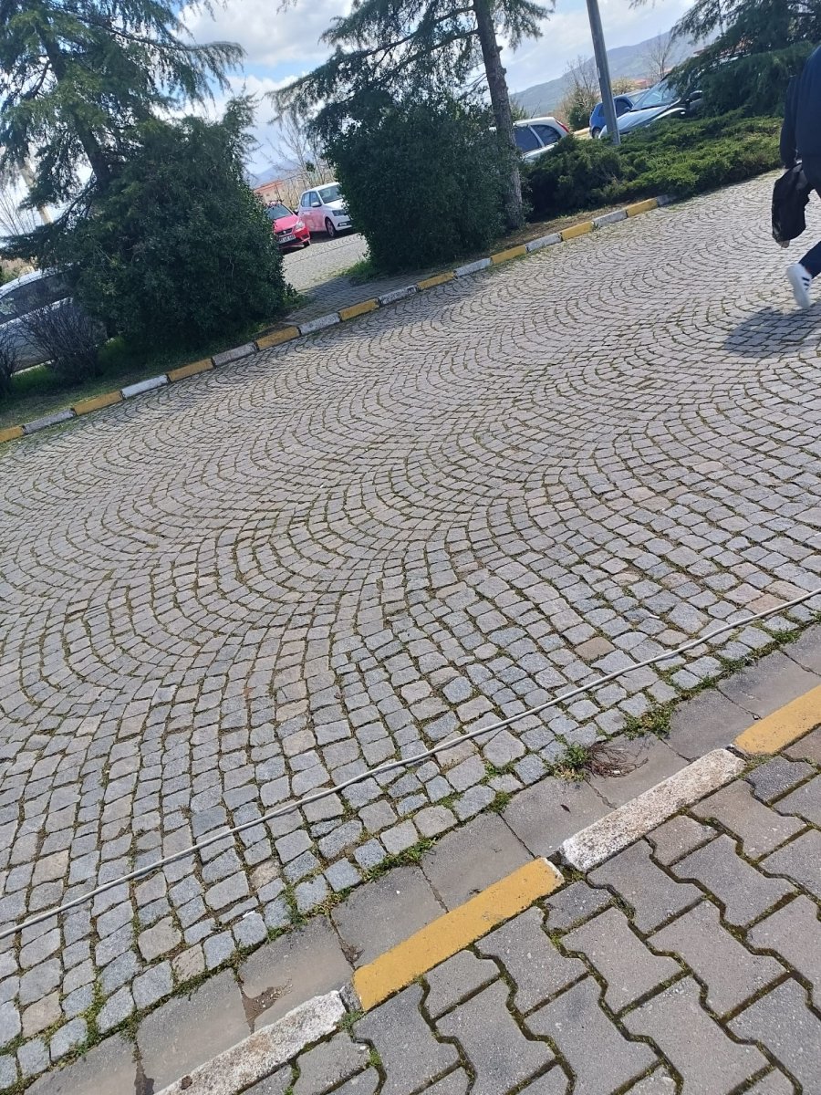 I M G 20260407 W A0074