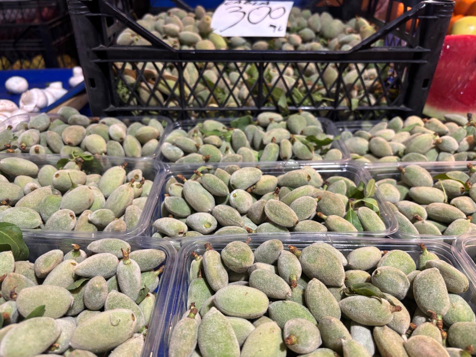 I M G 20260408 W A0039