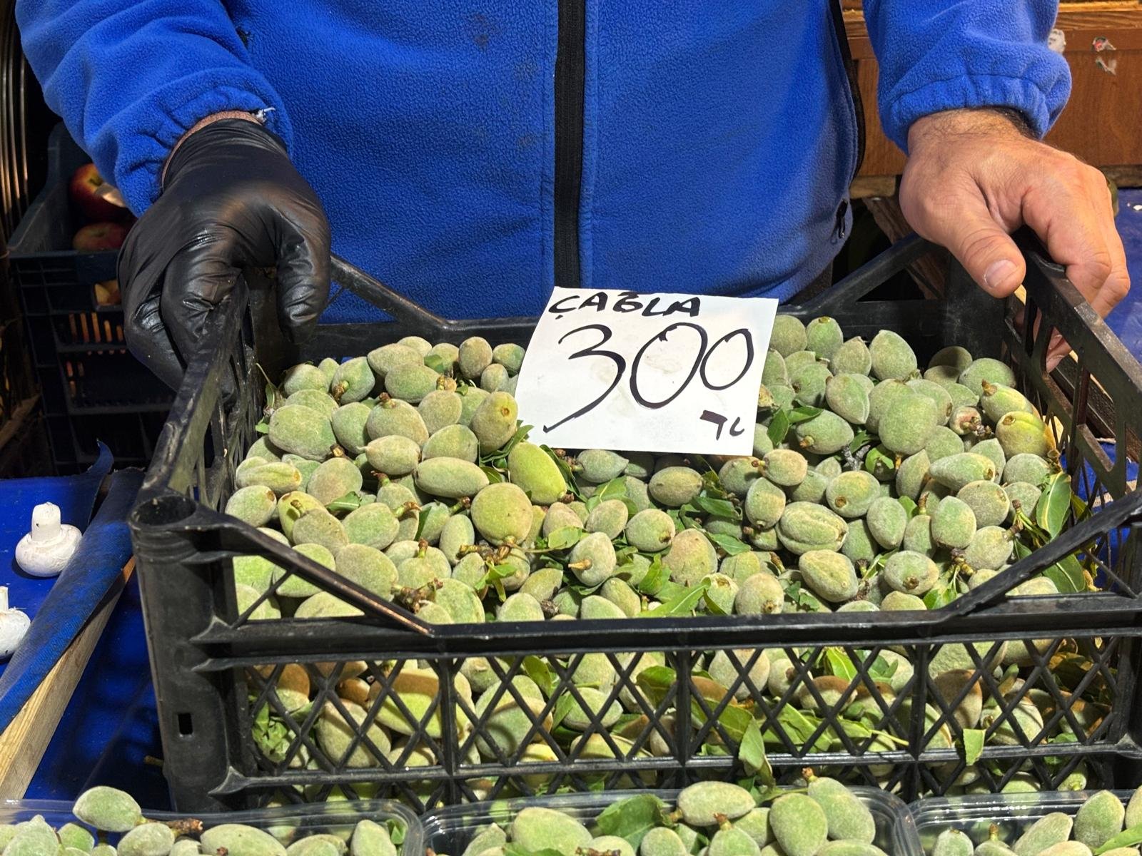 I M G 20260408 W A0040