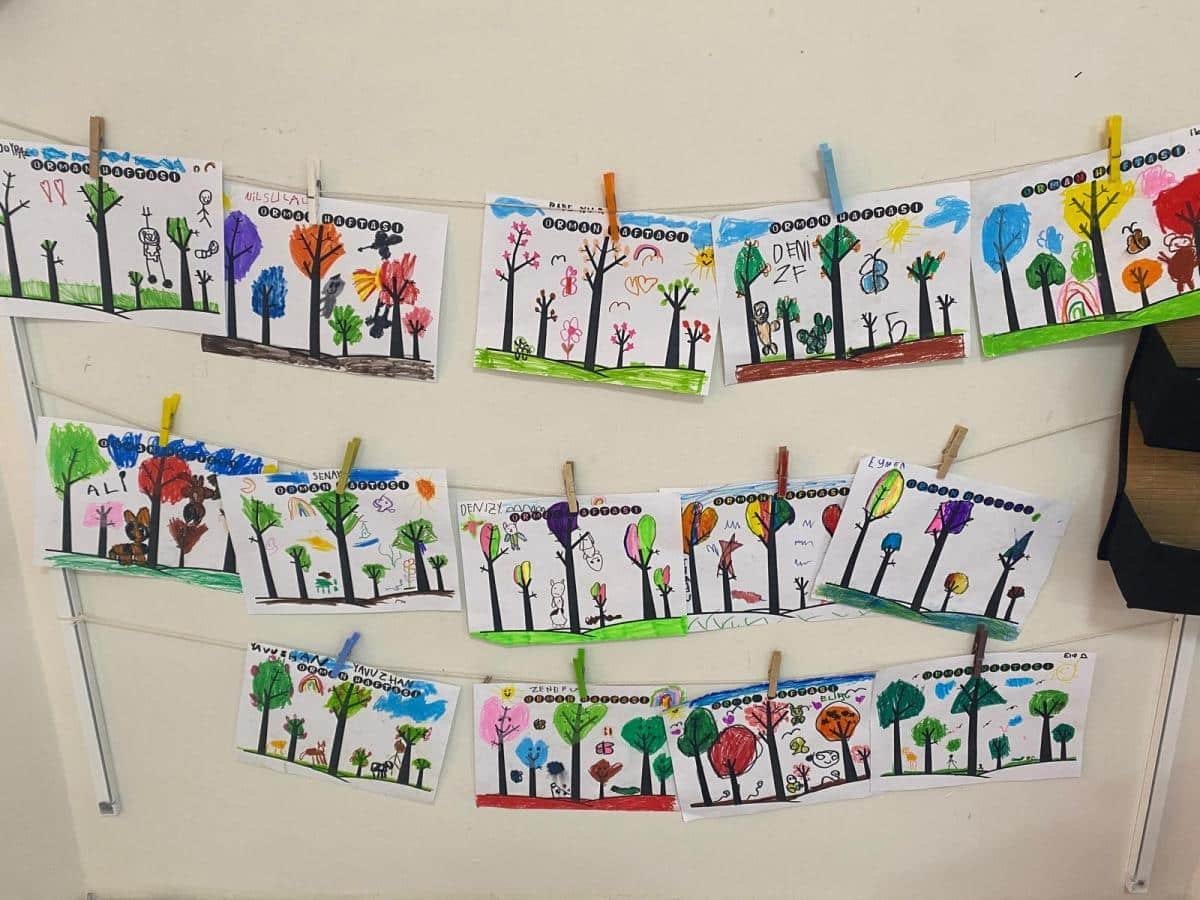 I M G 20260409 W A0031