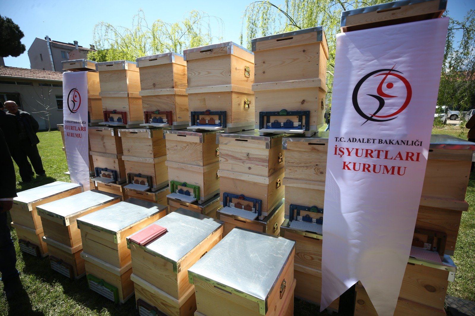 I M G 20260409 W A0071