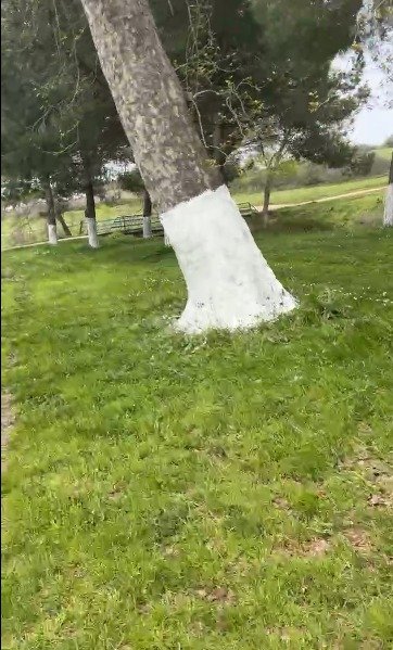 I M G 20260417 W A0041