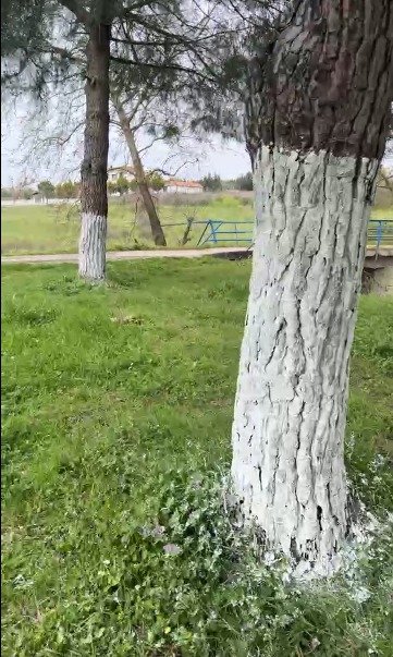 I M G 20260417 W A0042