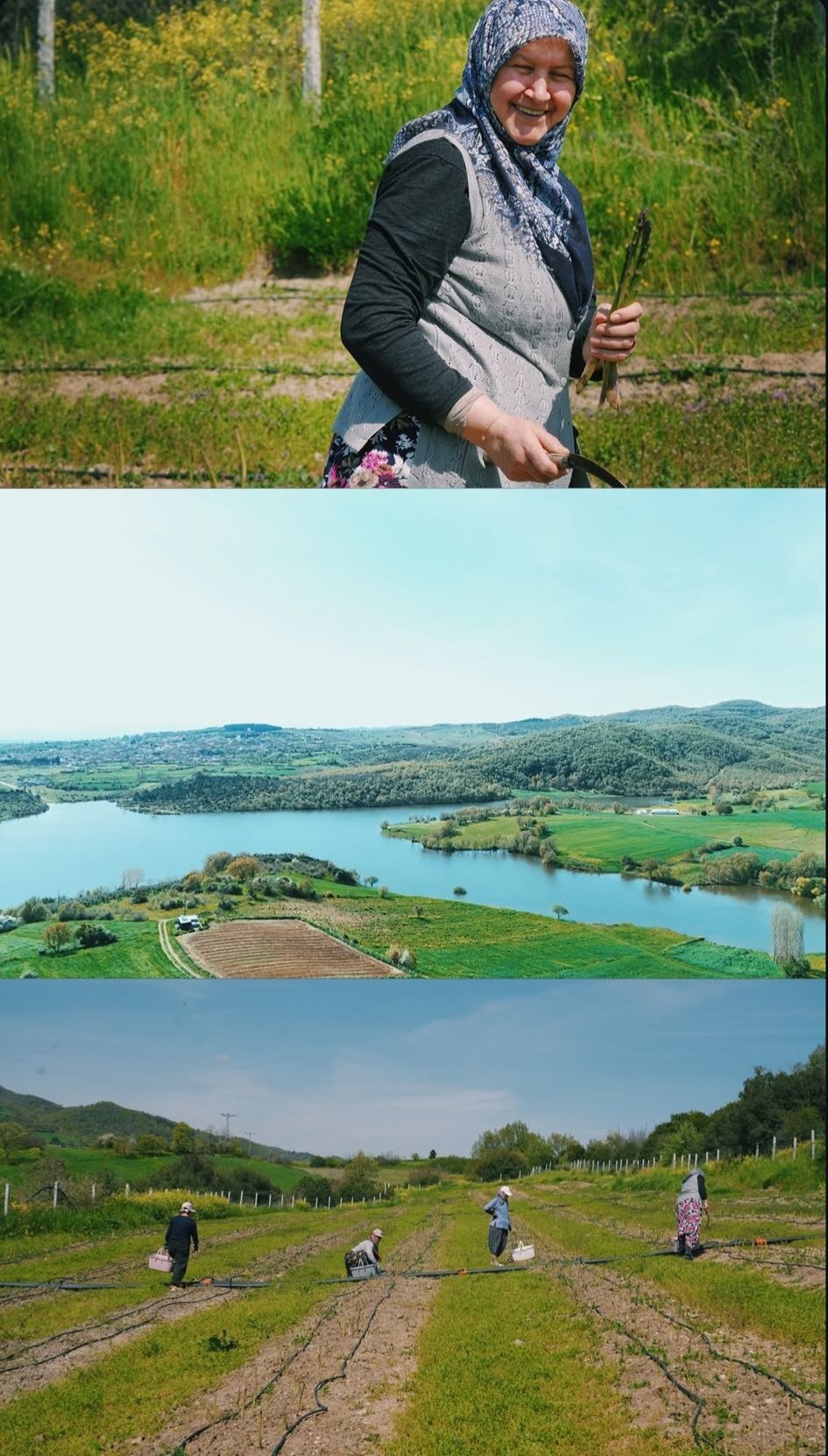 I M G 20260421 114243