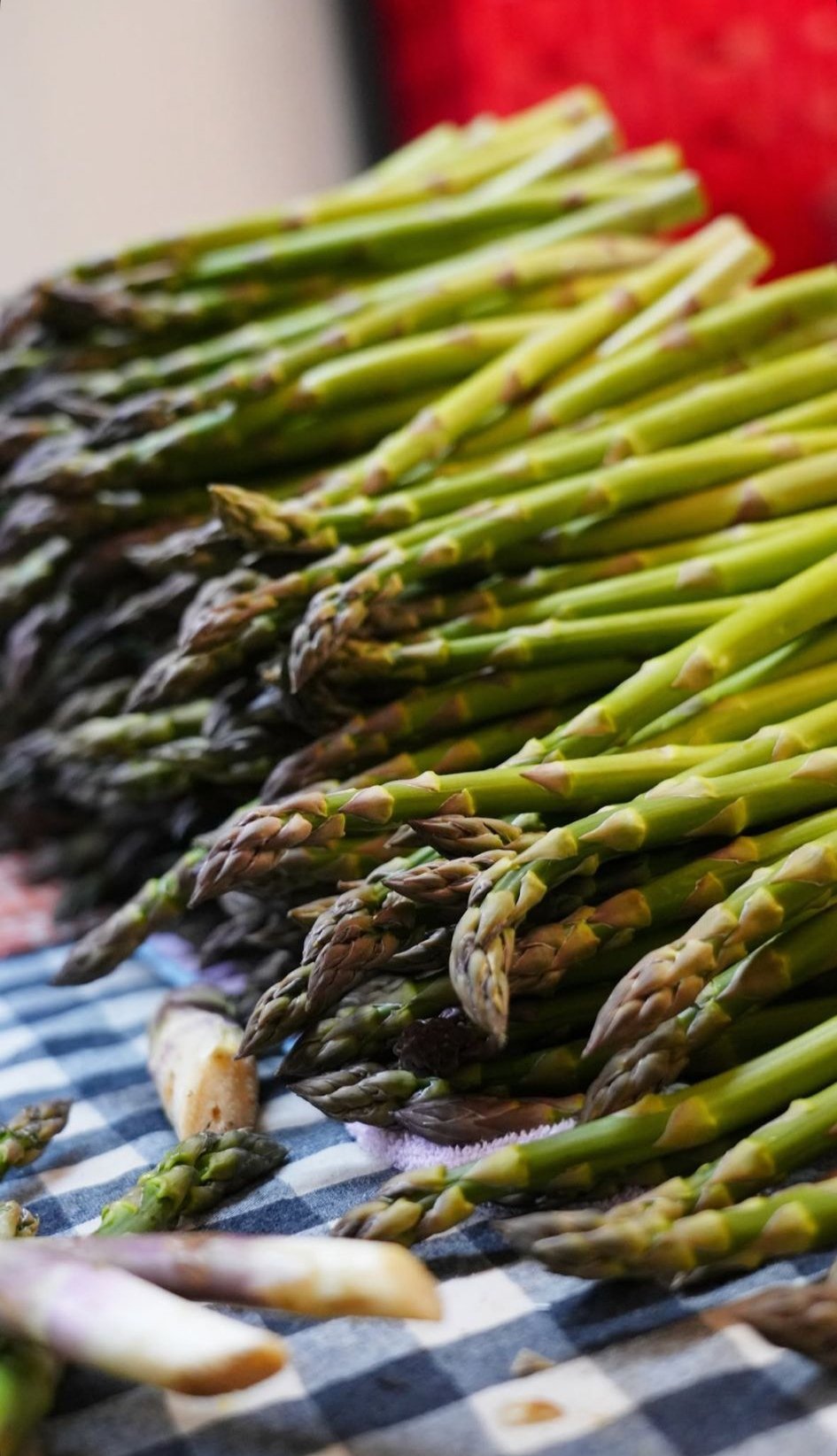 I M G 20260421 114334