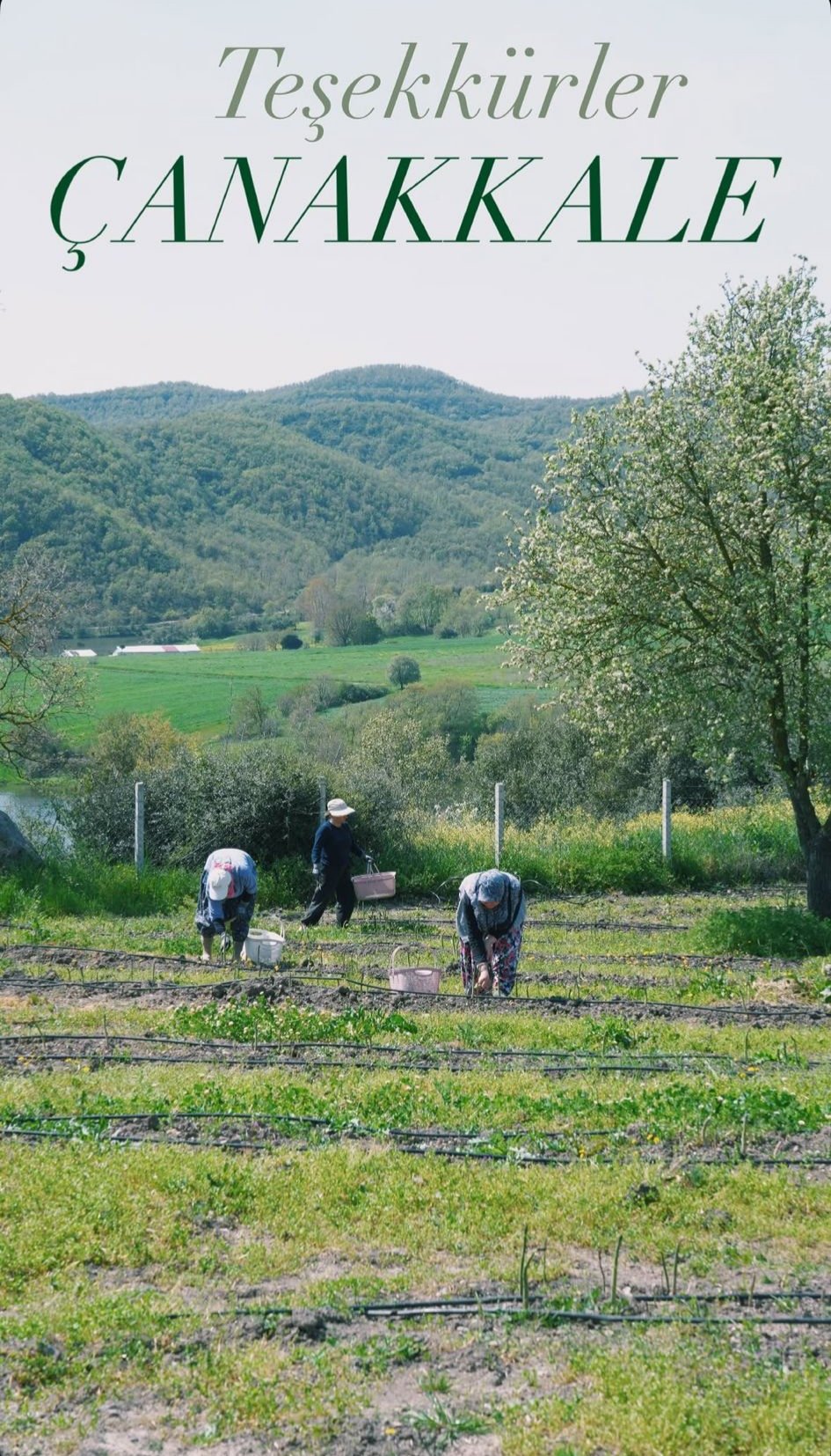 I M G 20260421 114402