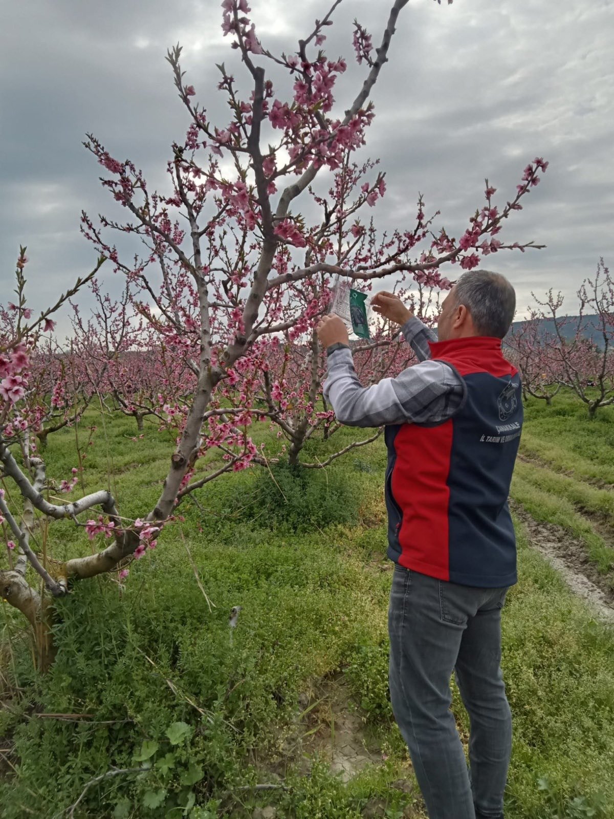 I M G 20260421 W A0002