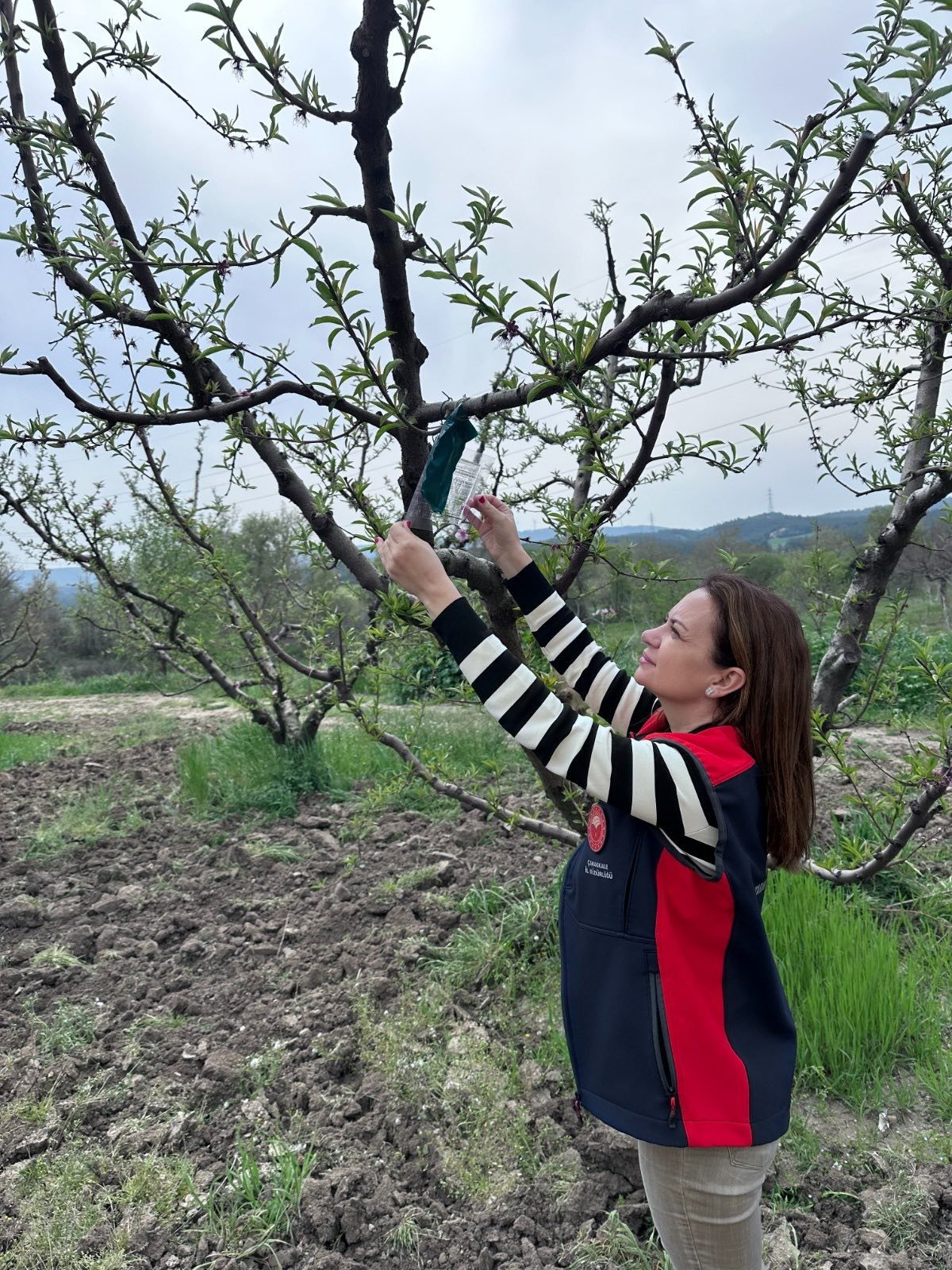 I M G 20260421 W A0004