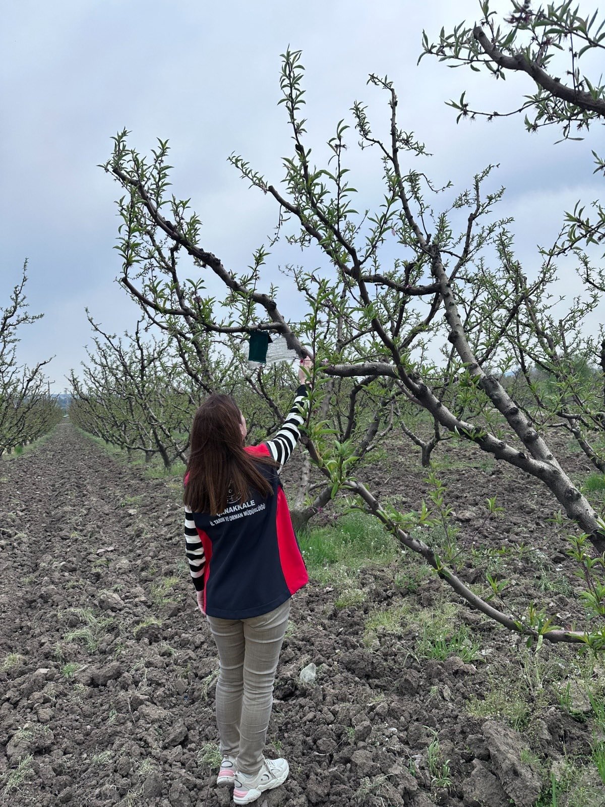 I M G 20260421 W A0005