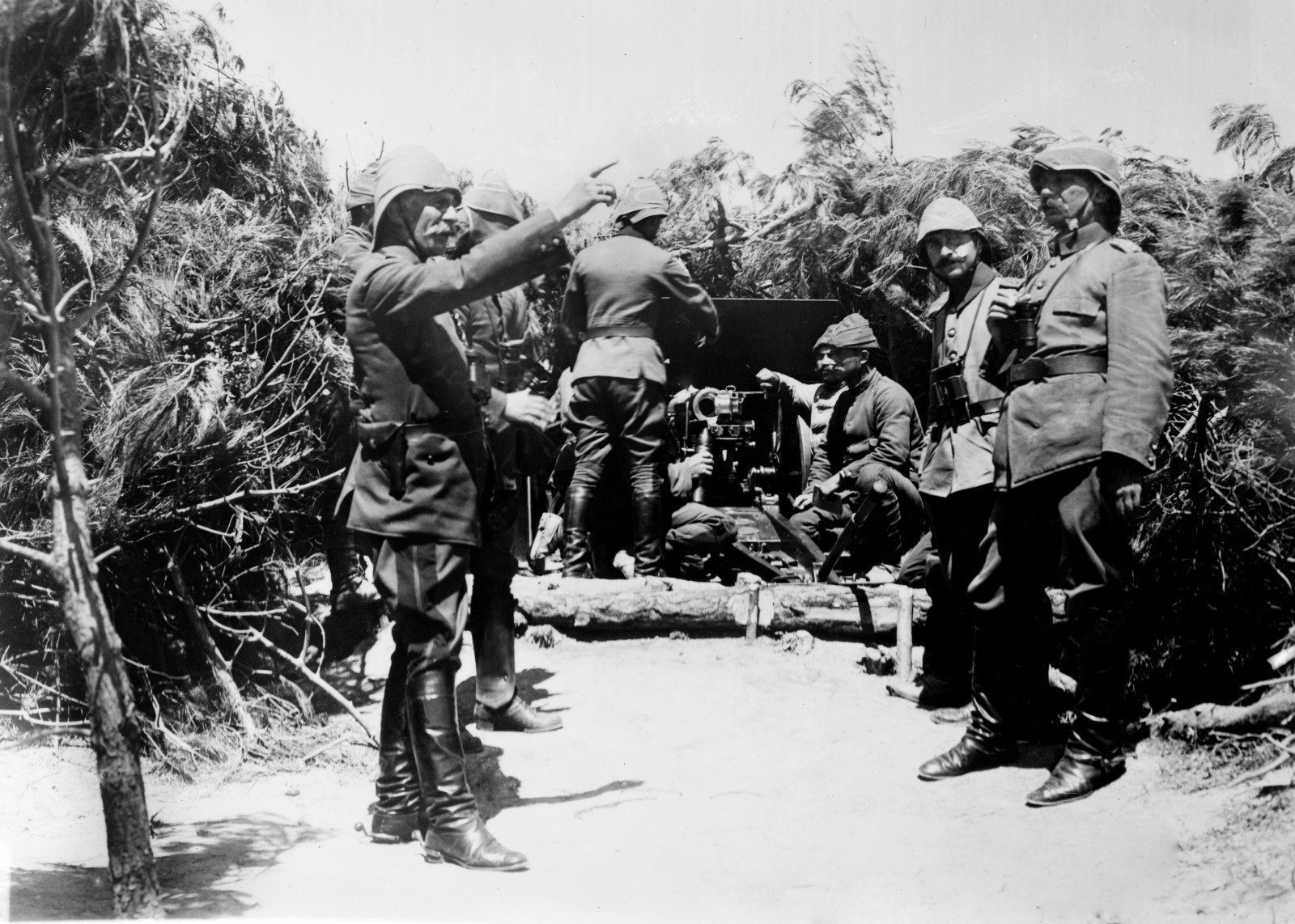 I M G 20260421 W A0031