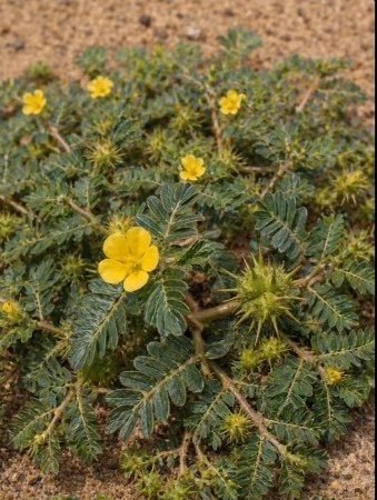 I M G 20260424 124813