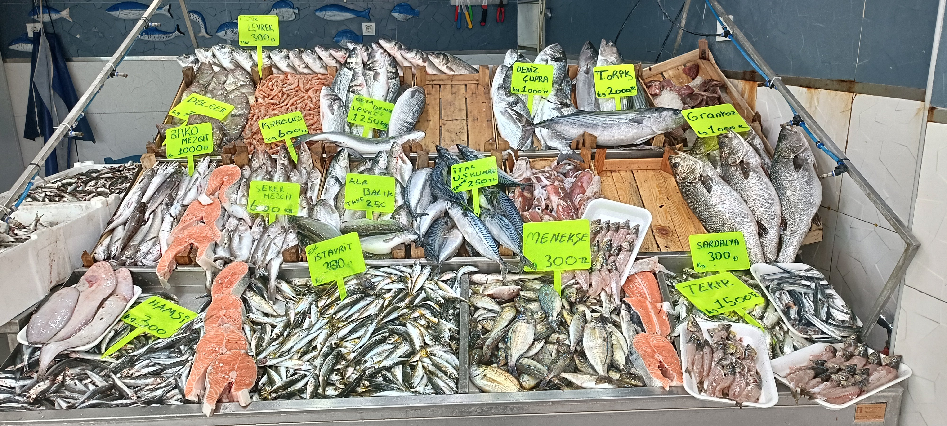 I M G 20260424 133043-1