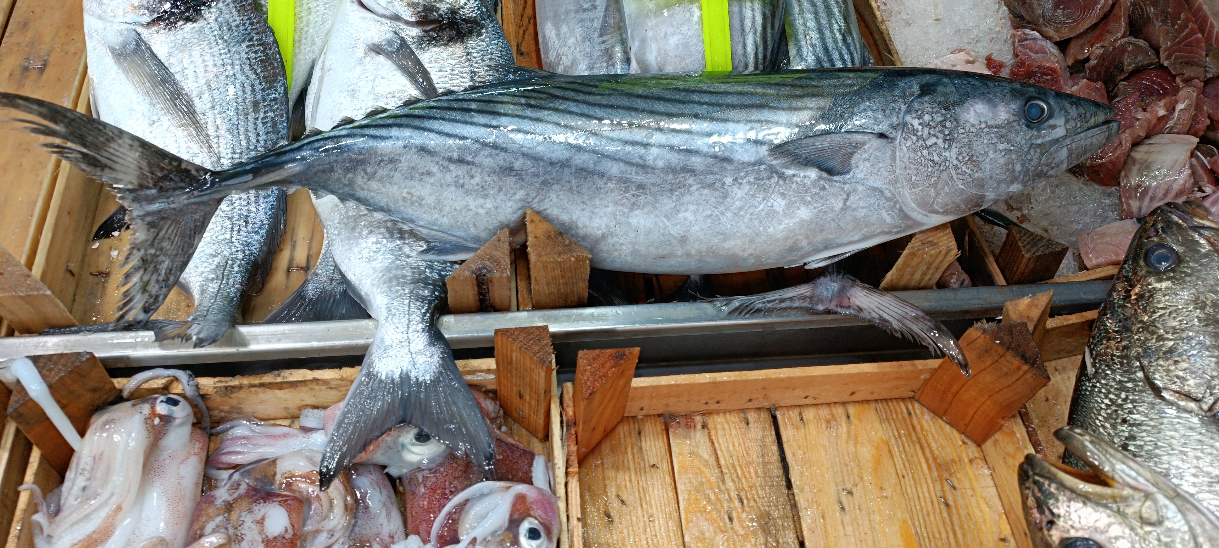 I M G 20260424 133109