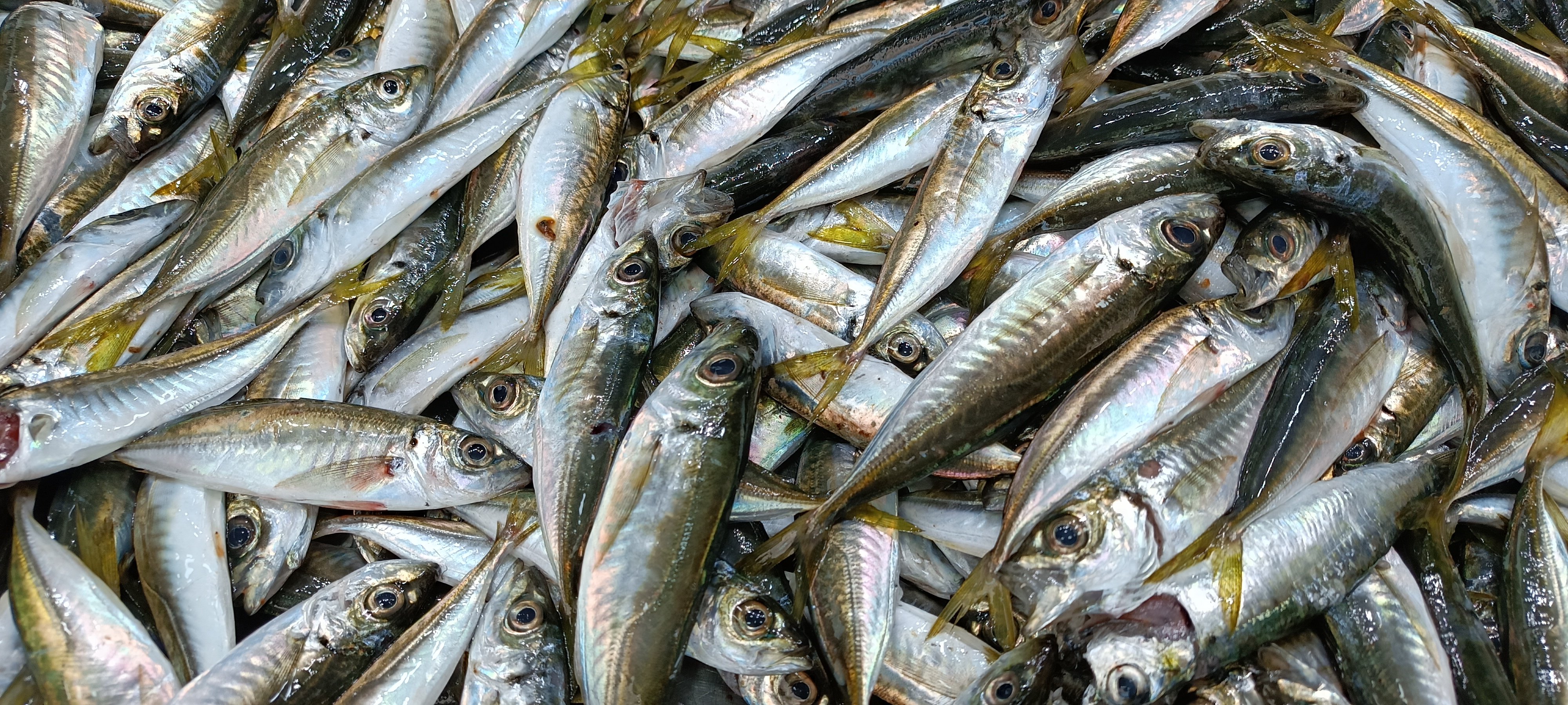 I M G 20260424 133202