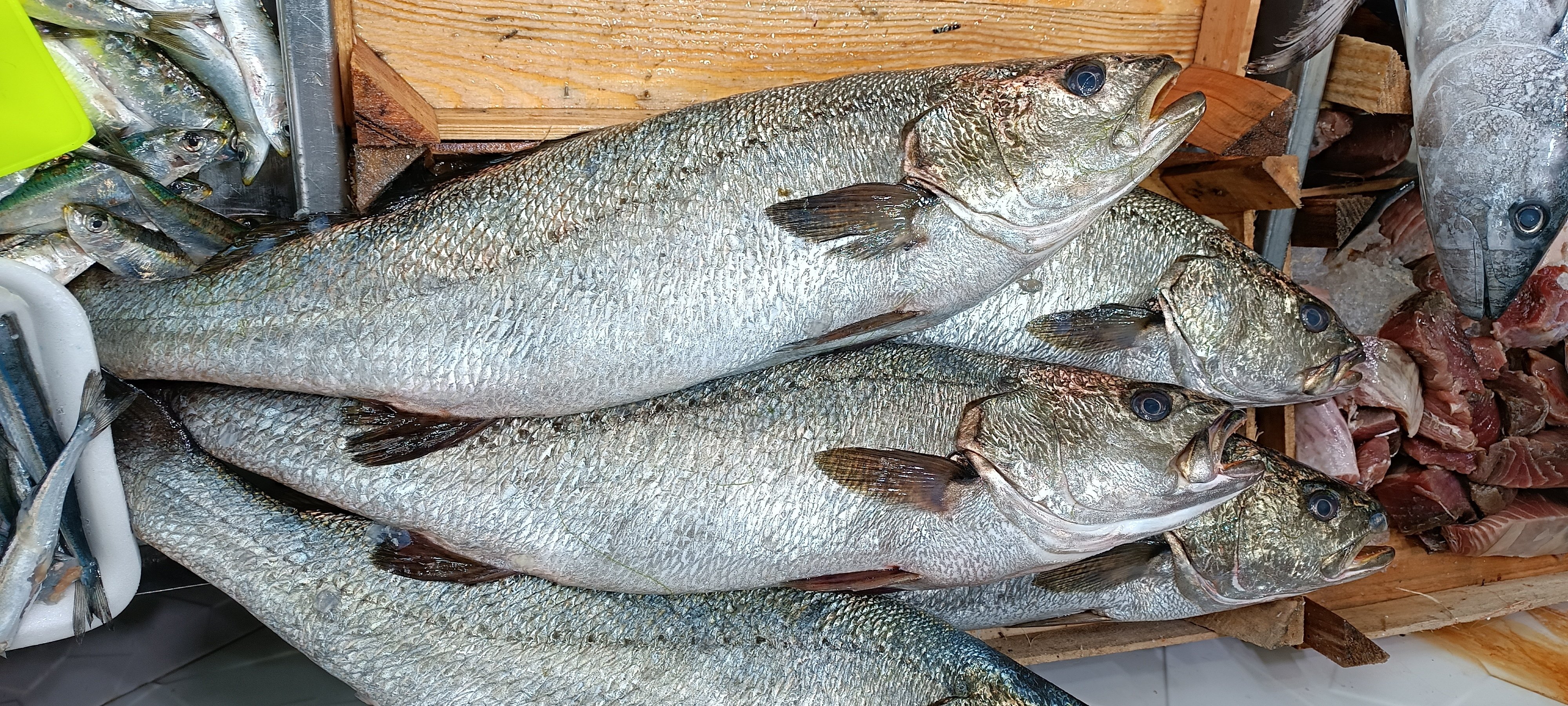 I M G 20260424 142338