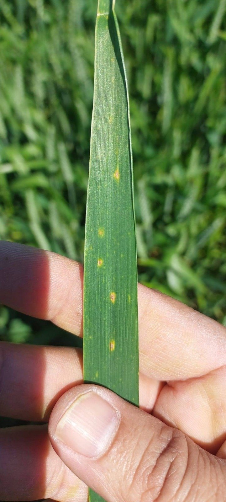 I M G 20260427 W A0004