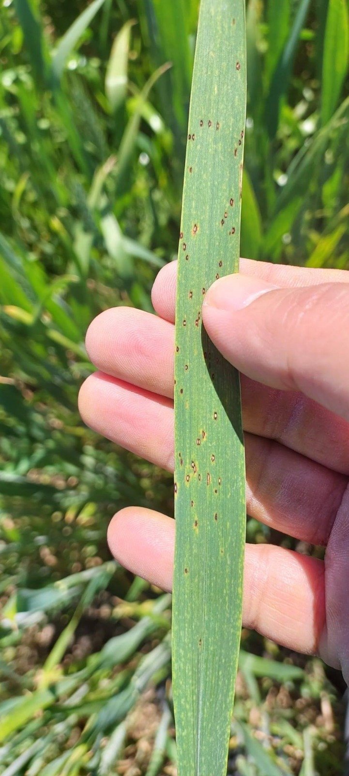 I M G 20260427 W A0006