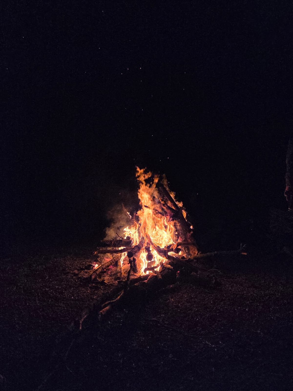 I M G 20260427 W A0023