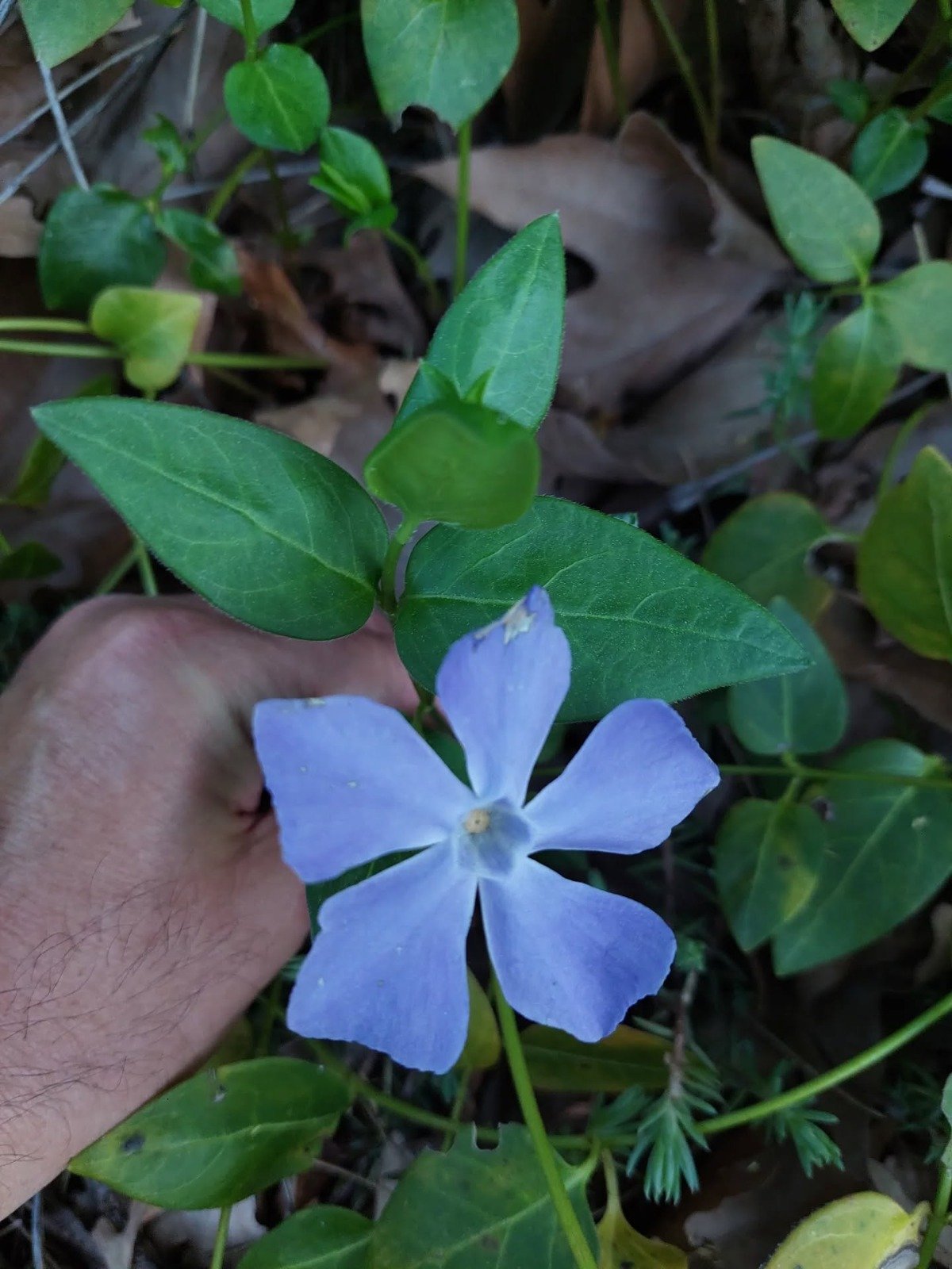 I M G 20260427 W A0046