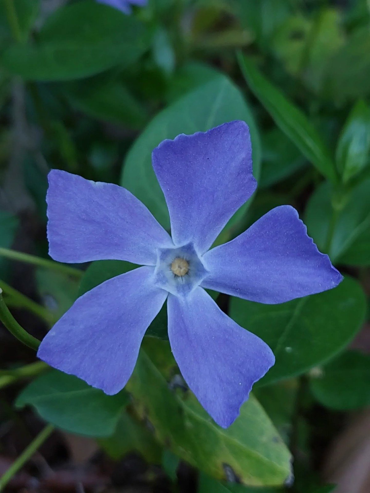 I M G 20260427 W A0047