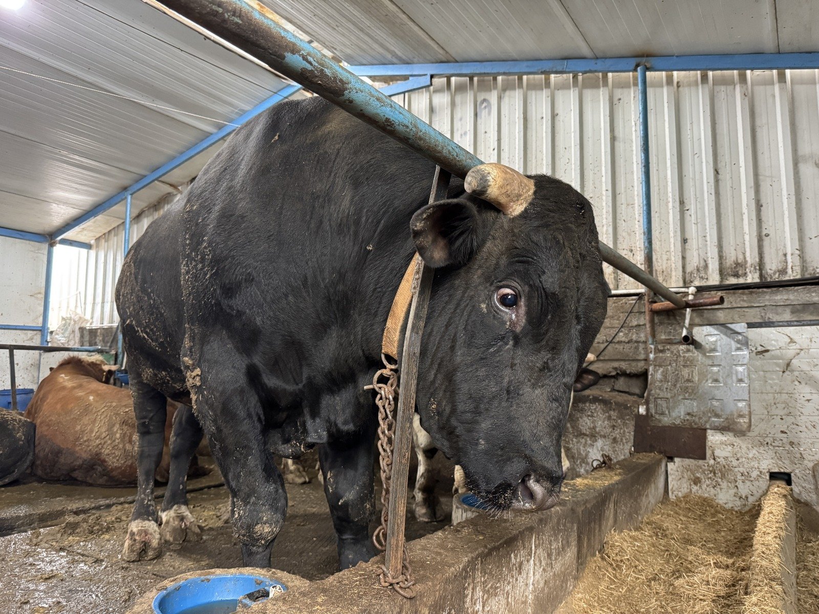 I M G 20260427 W A0059