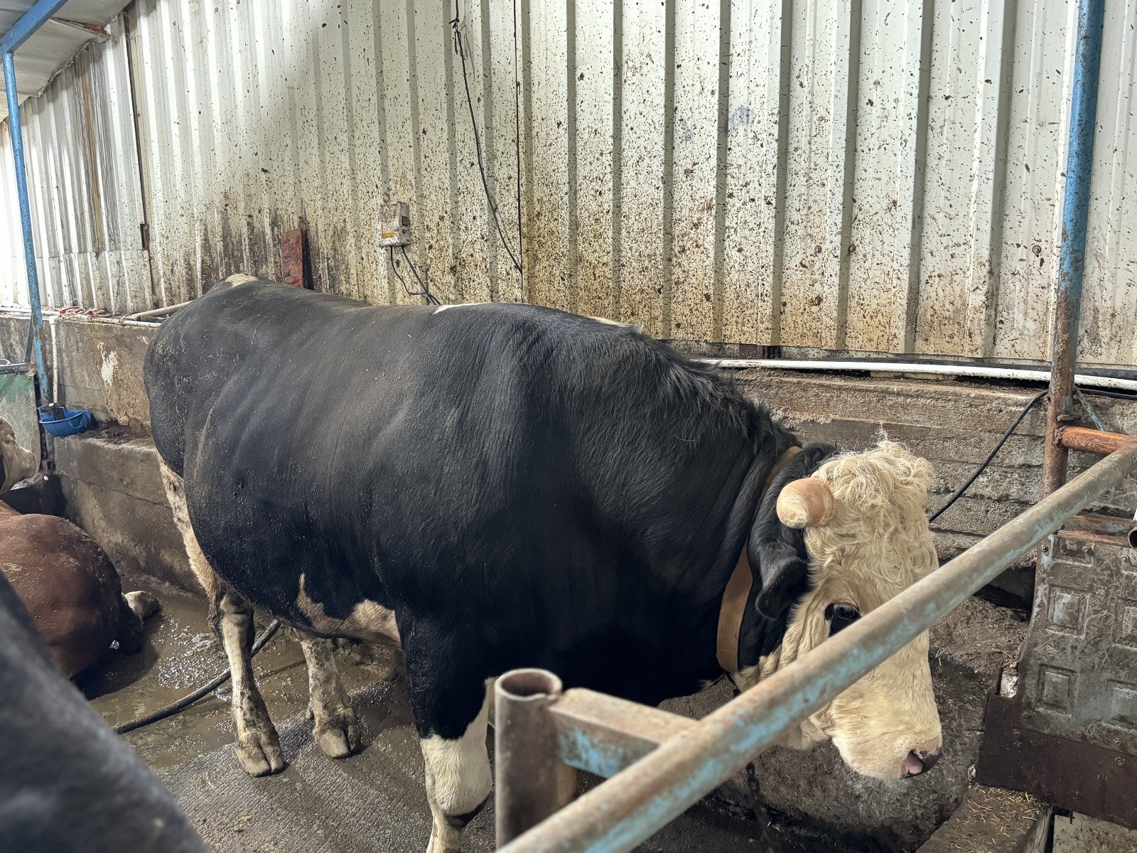 I M G 20260427 W A0060