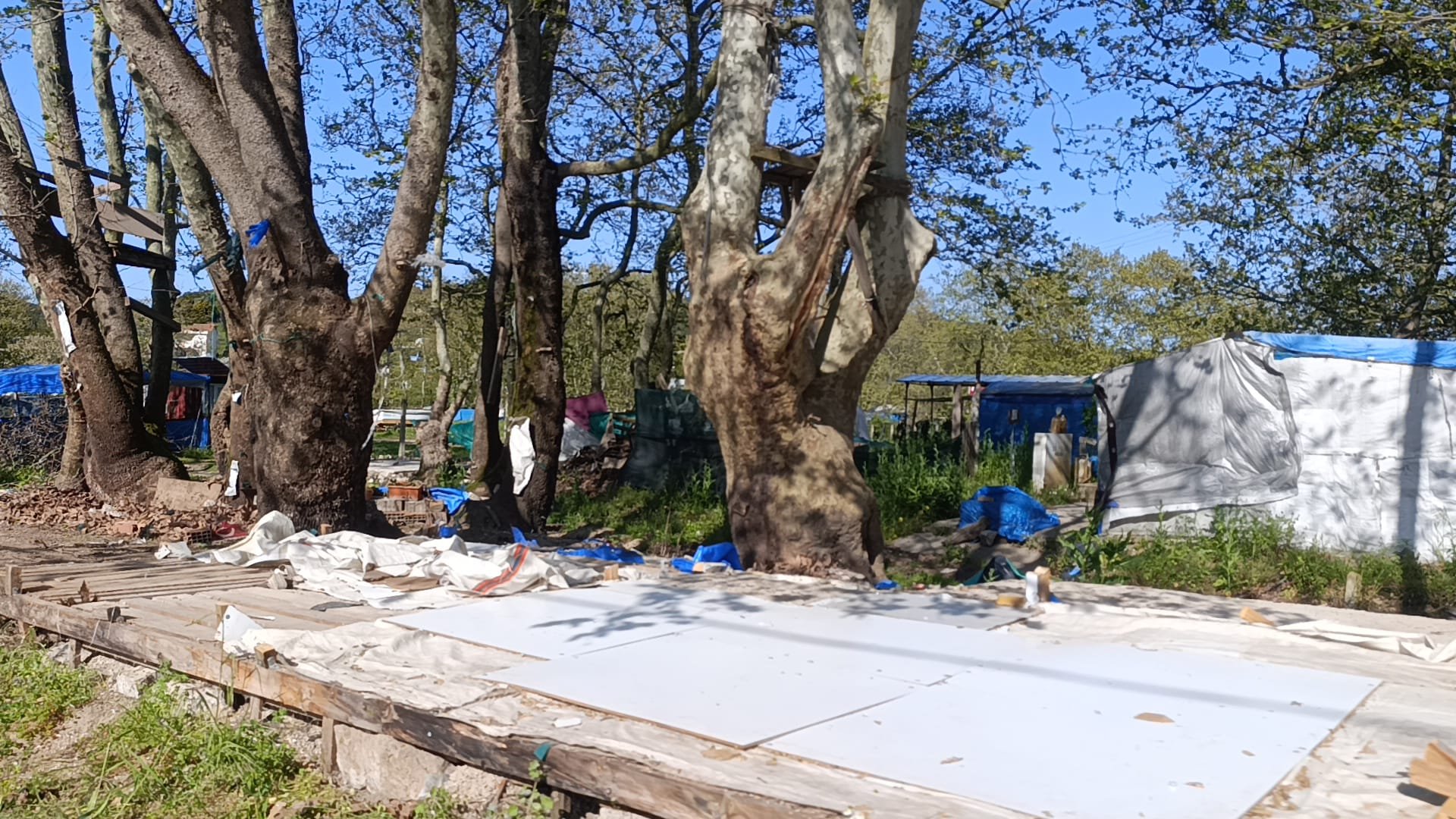 I M G 20260427 W A0075