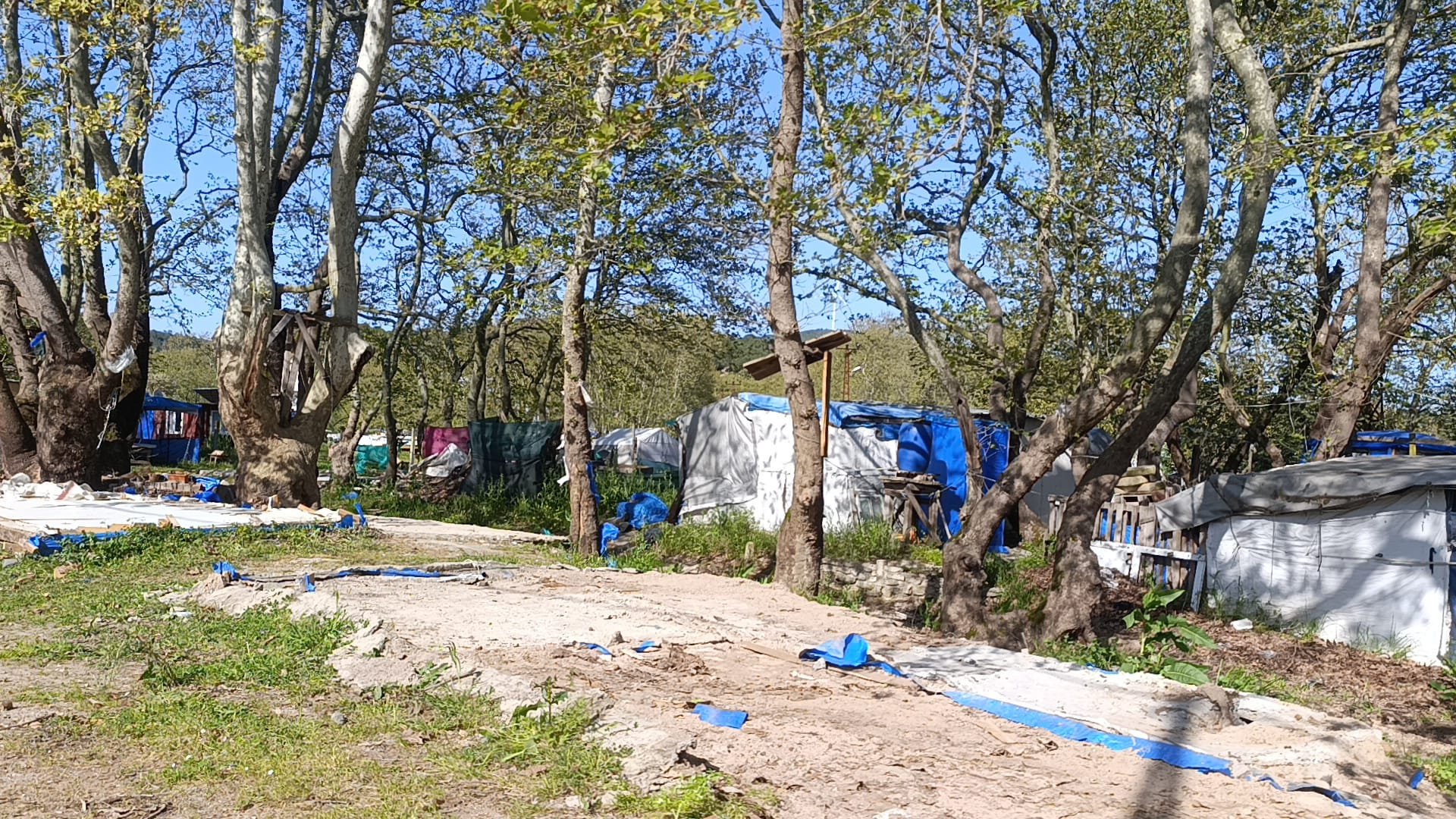 I M G 20260427 W A0076