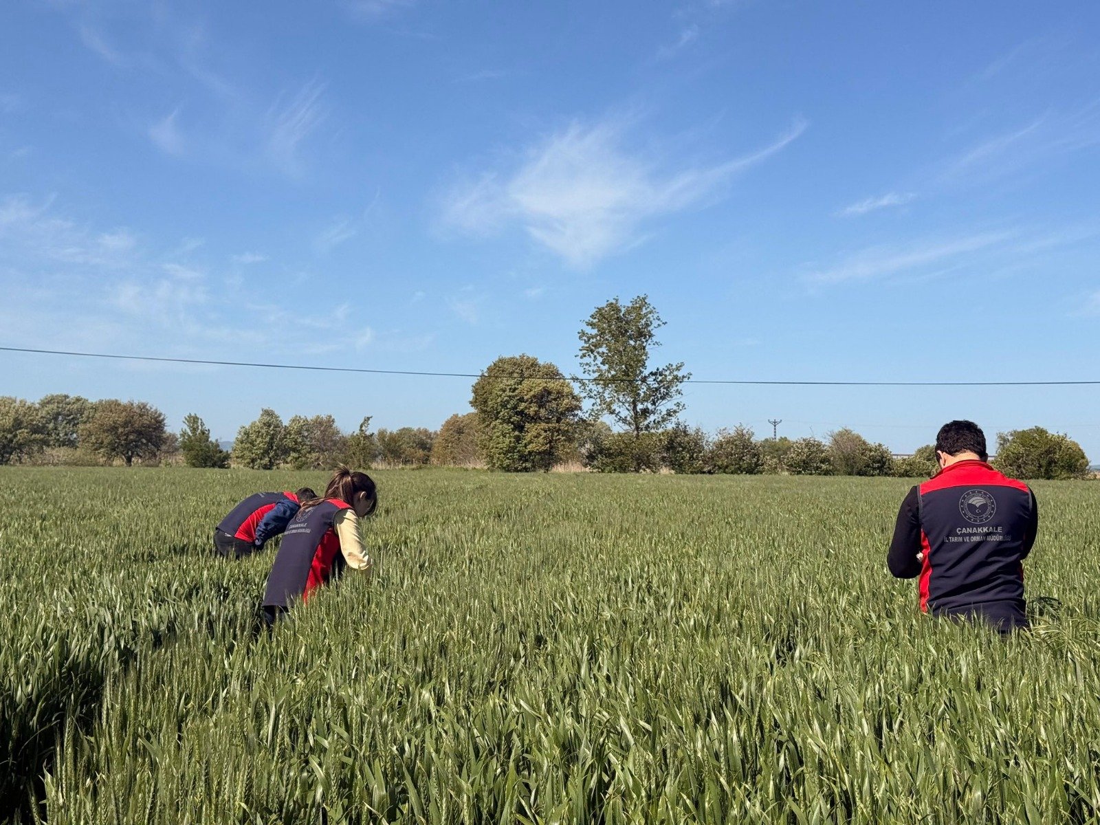 I M G 20260429 W A0007