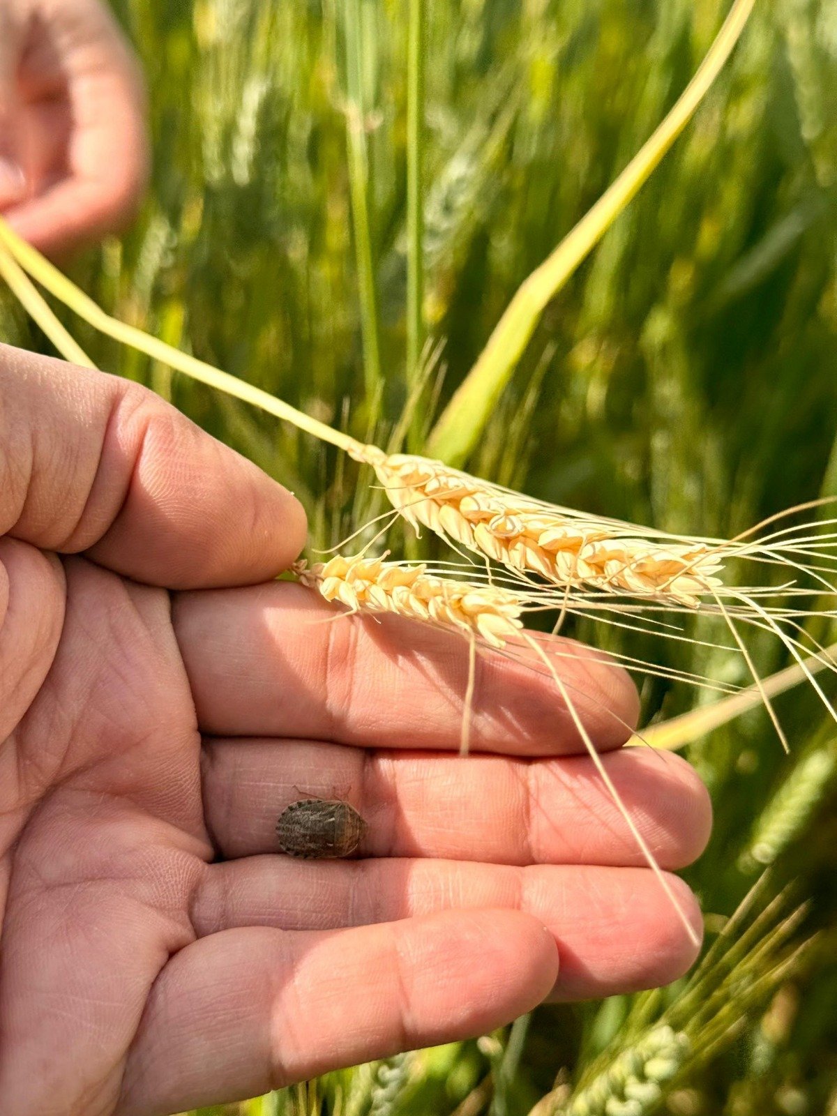 I M G 20260429 W A0008