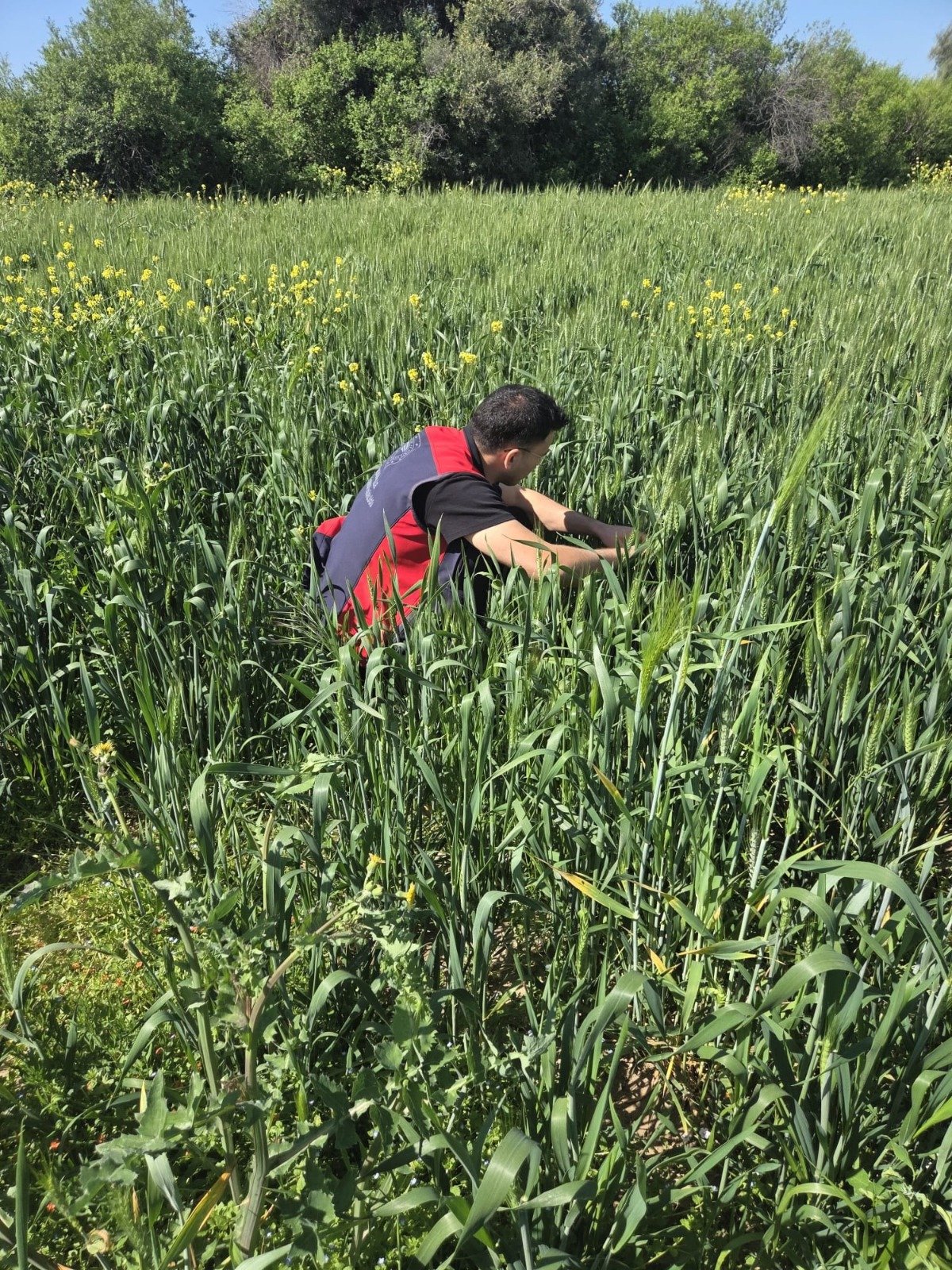 I M G 20260429 W A0009