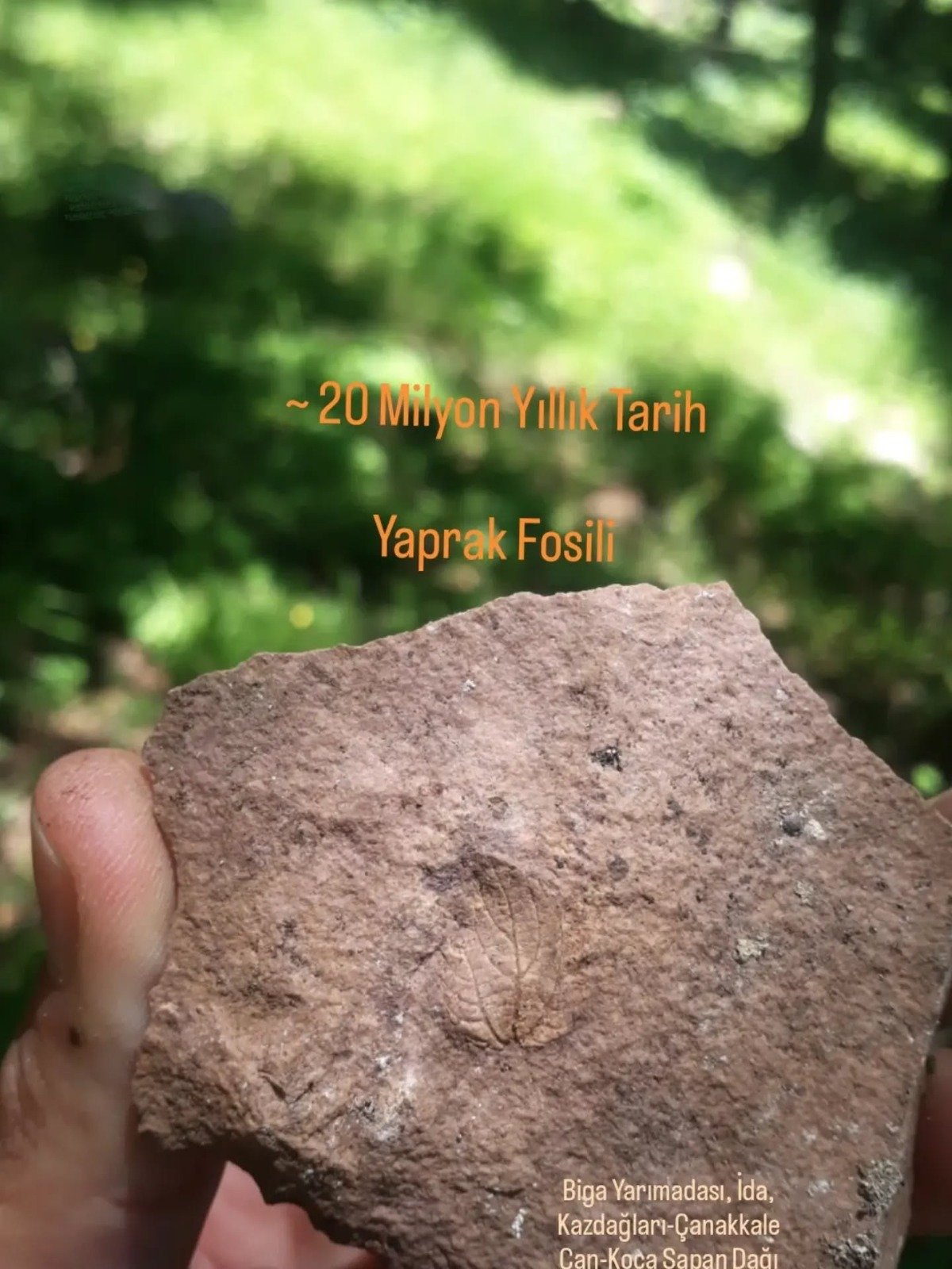 I M G 20260429 W A0094