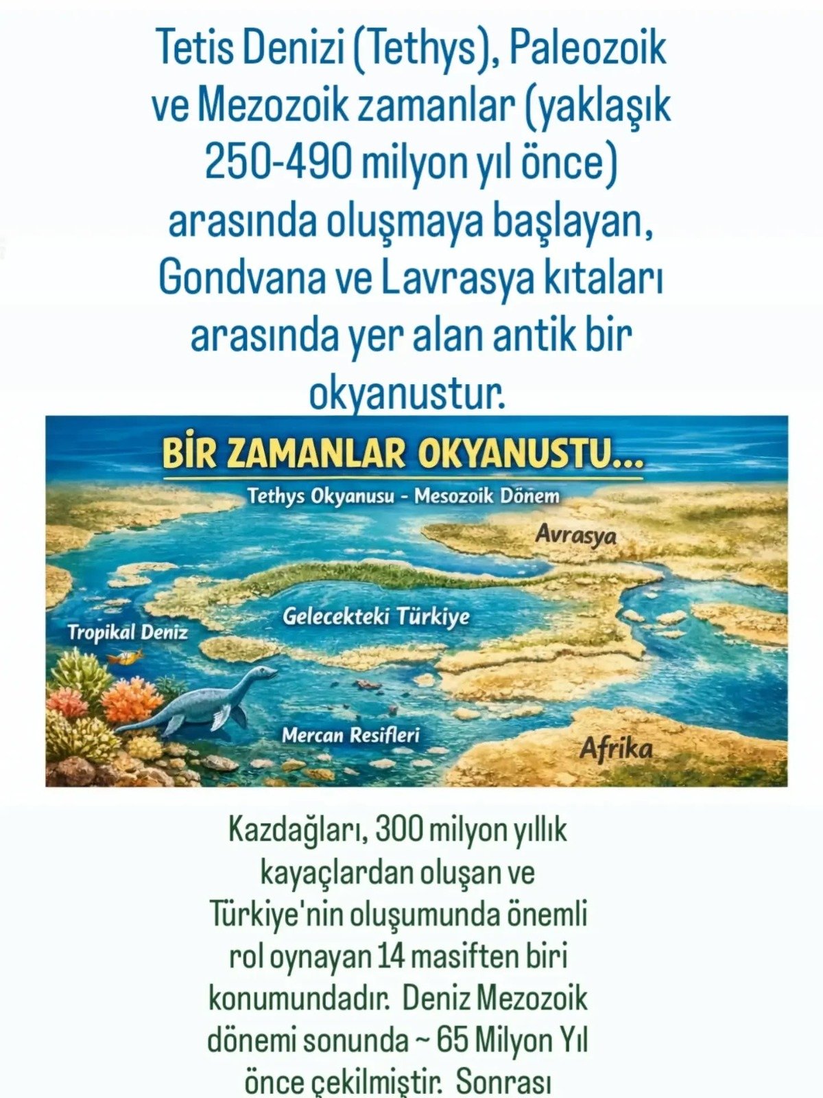 I M G 20260429 W A0095