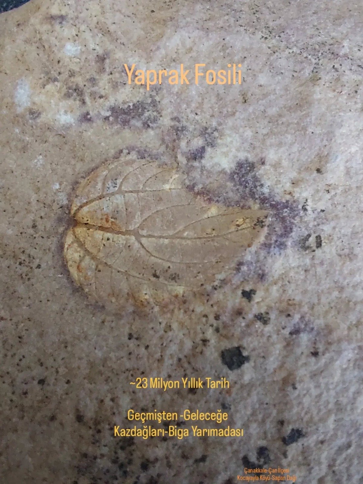 I M G 20260429 W A0097