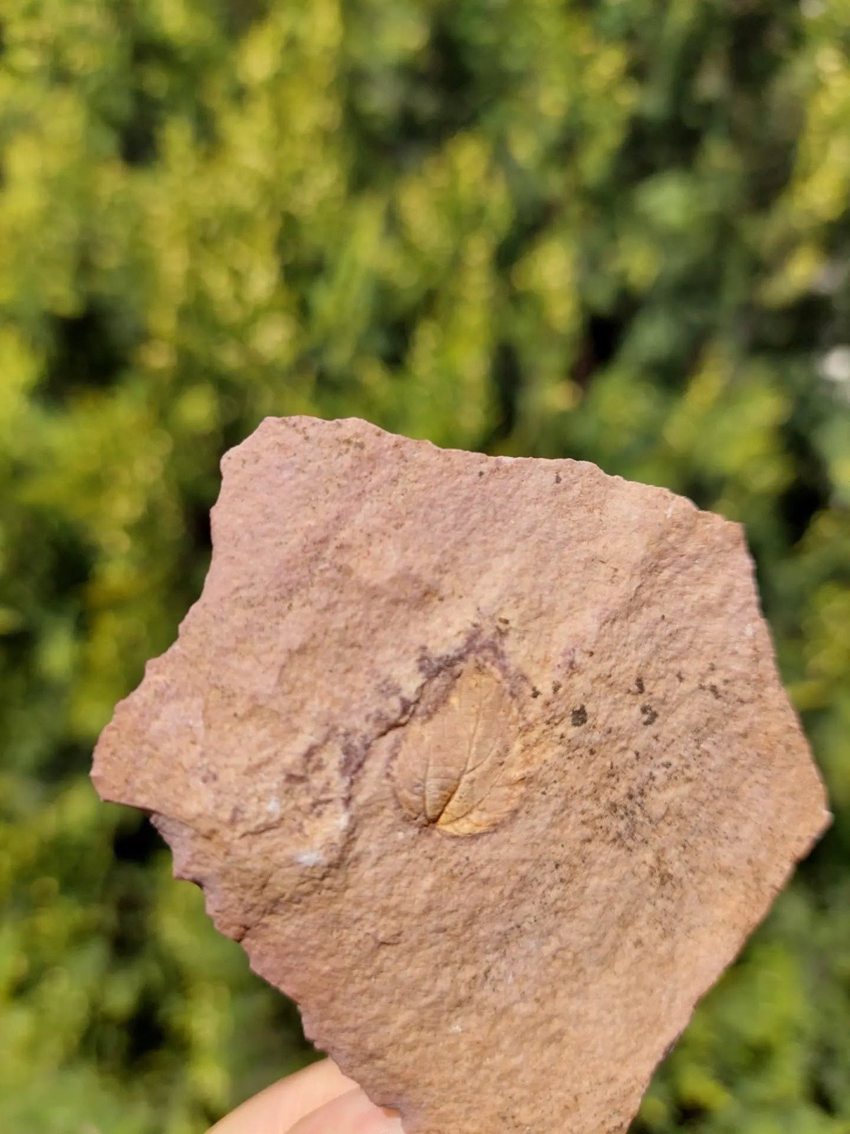 I M G 20260429 W A0100