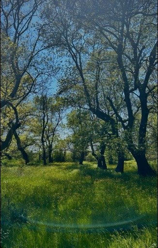 I M G 20260430 W A0035