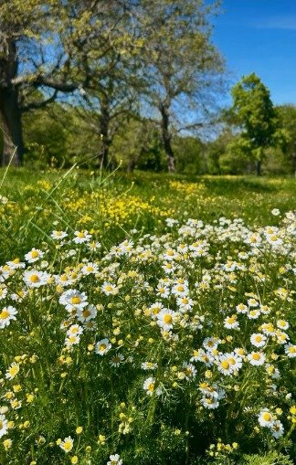 I M G 20260430 W A0037