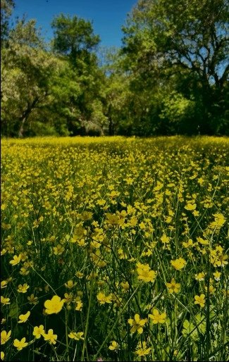 I M G 20260430 W A0038